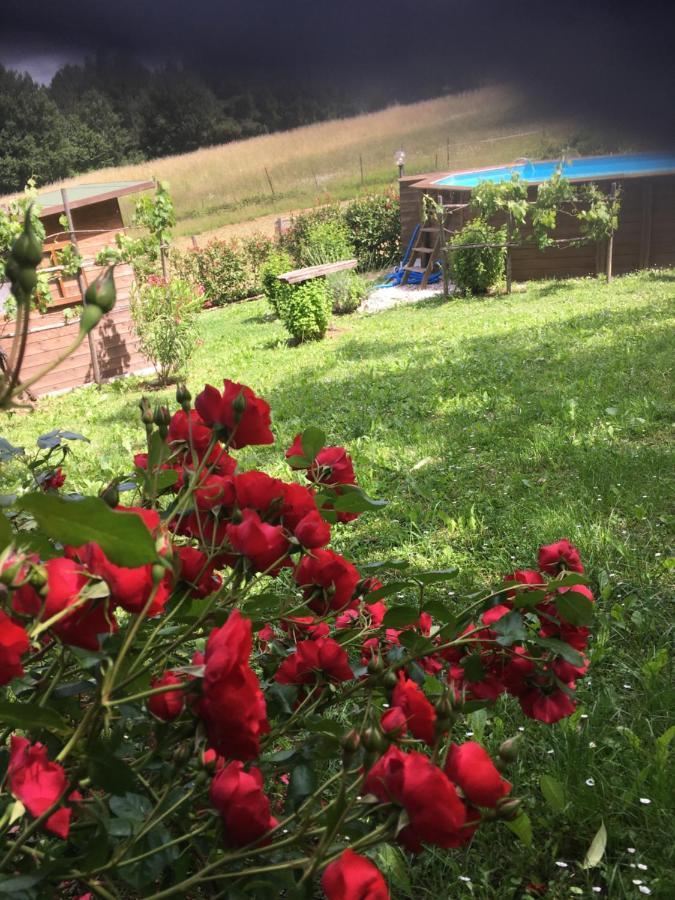 ויקיו Il Mugello B&B מראה חיצוני תמונה