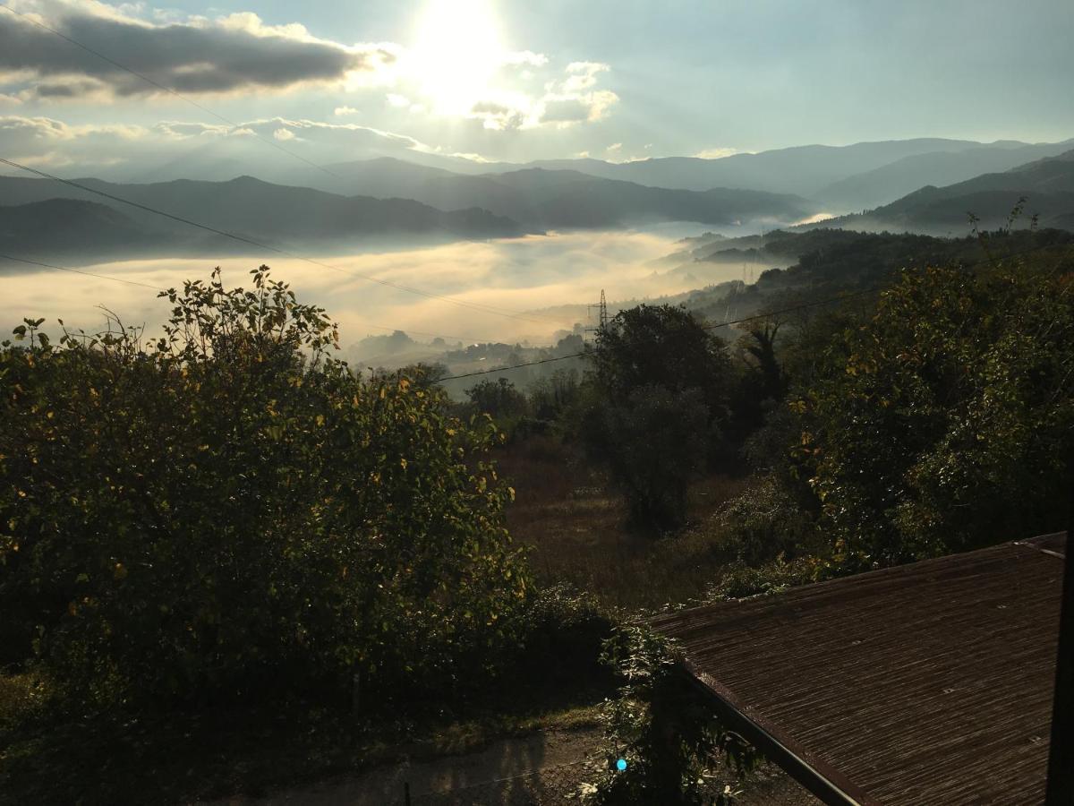 ויקיו Il Mugello B&B מראה חיצוני תמונה