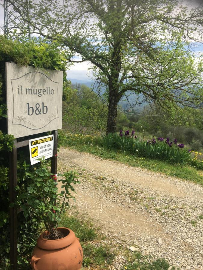 ויקיו Il Mugello B&B מראה חיצוני תמונה