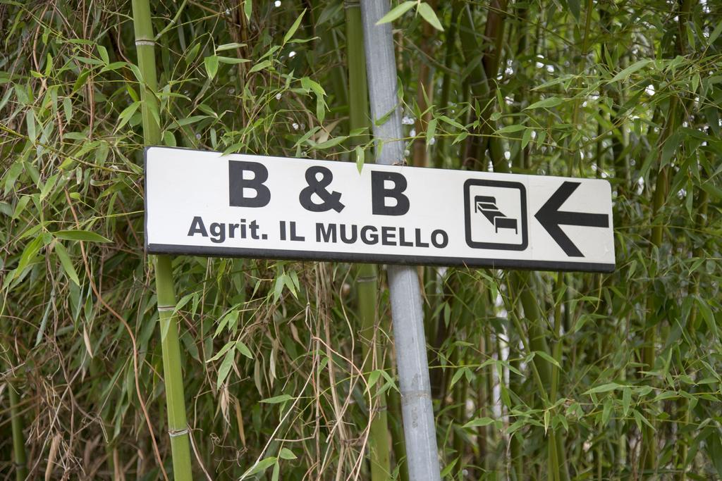 ויקיו Il Mugello B&B מראה חיצוני תמונה