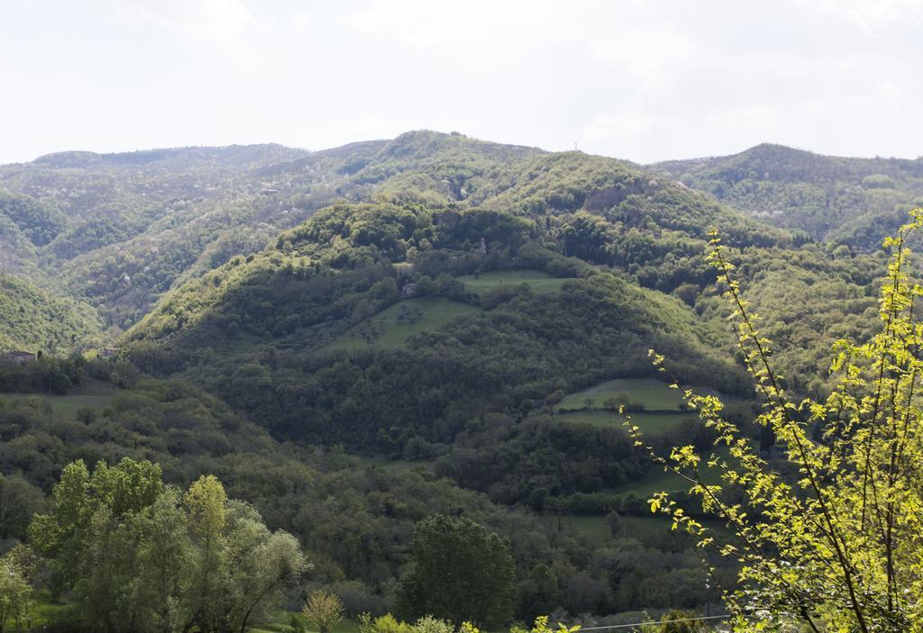 ויקיו Il Mugello B&B מראה חיצוני תמונה