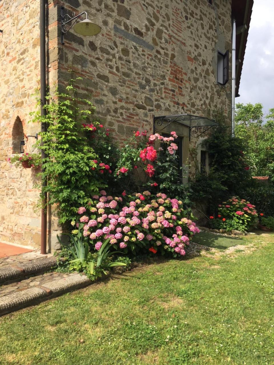 ויקיו Il Mugello B&B מראה חיצוני תמונה