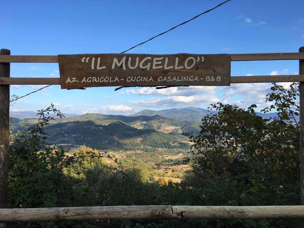 ויקיו Il Mugello B&B מראה חיצוני תמונה