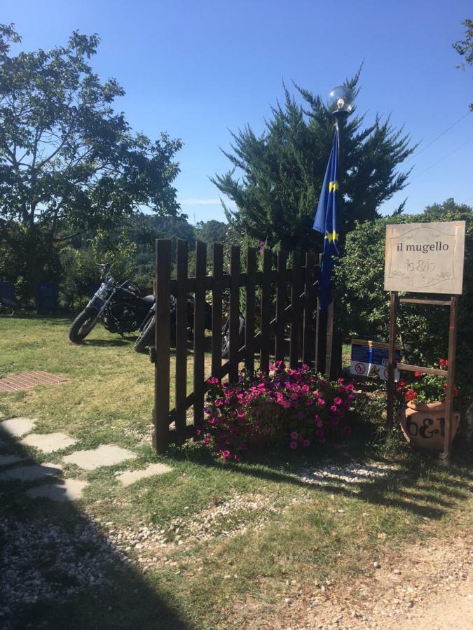 ויקיו Il Mugello B&B מראה חיצוני תמונה